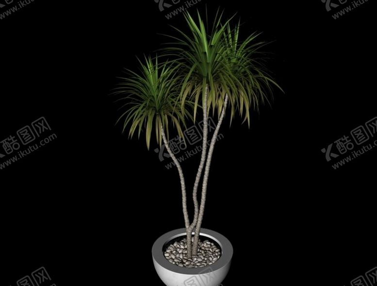 编号：51244410010801263535【酷图网】源文件下载-绿色植物盆栽盆景