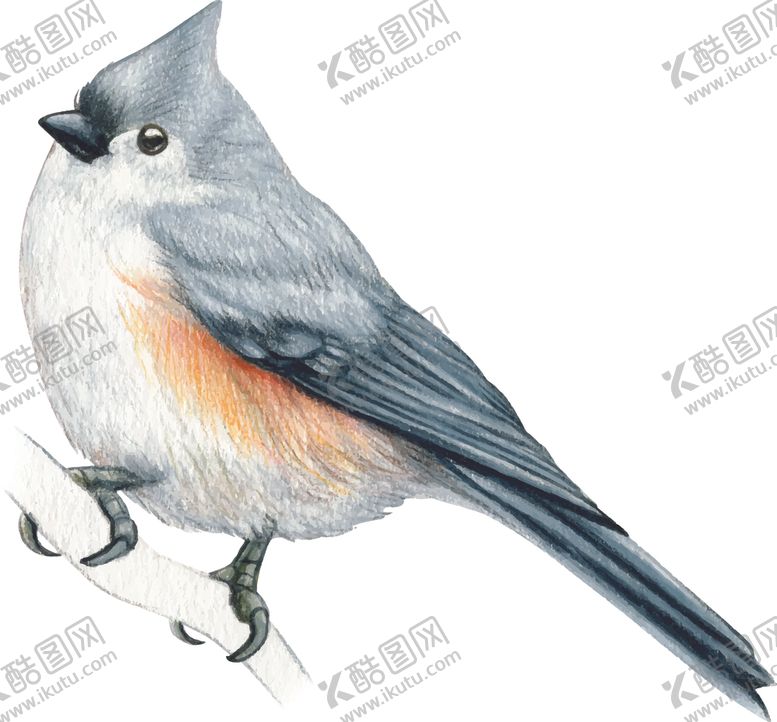 编号：21160006281736349330【酷图网】源文件下载-小鸟插画