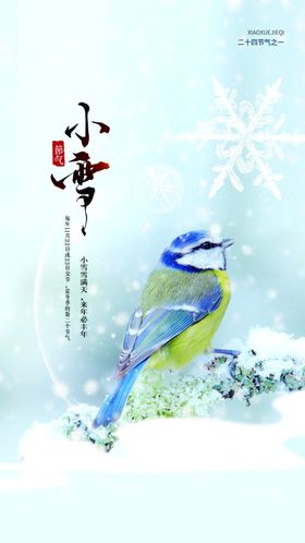 小雪堆人飞机稿柿子
