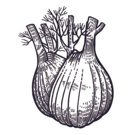 餐饮食物插画元素