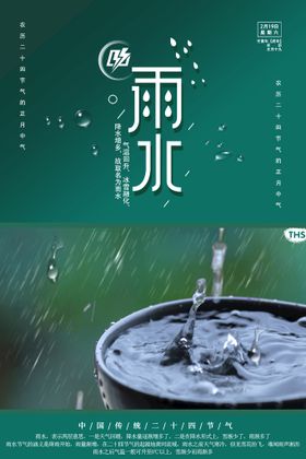 清新雨水节气海报