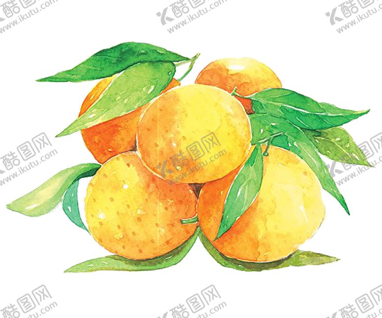 编号：79448309160342355306【酷图网】源文件下载-水果