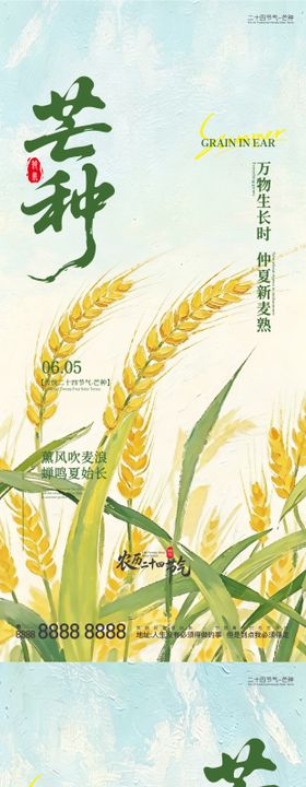 芒种二十四节气手机宣传海报