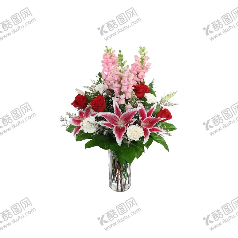 编号：17564801130856378945【酷图网】源文件下载-植物