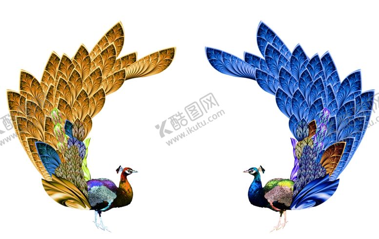 编号：88107310021732481337【酷图网】源文件下载-孔雀