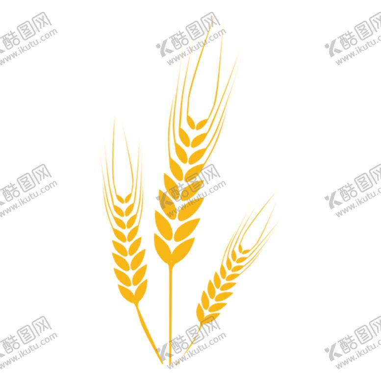 编号：51916609182135589101【酷图网】源文件下载-透明小麦png素材