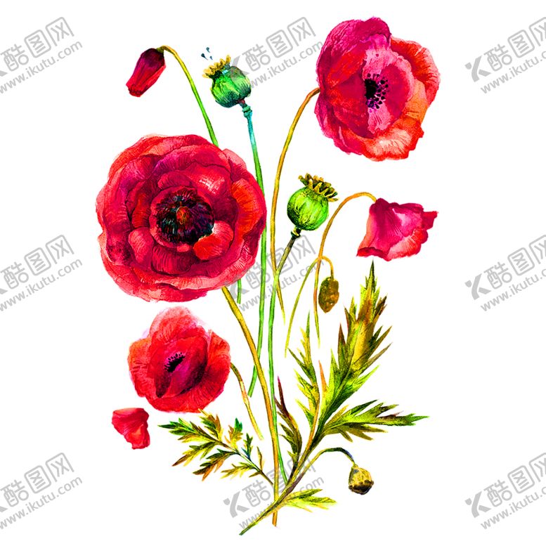 编号：10722909252206121978【酷图网】源文件下载-花素材