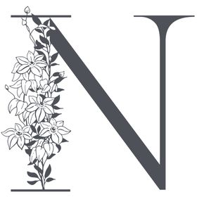 字母N