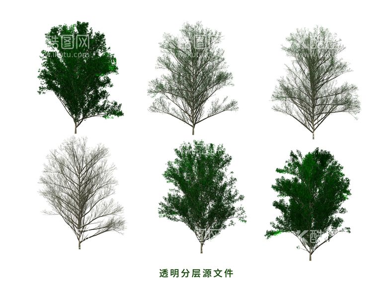 编号：13687209281844252875【酷图网】源文件下载-灌木