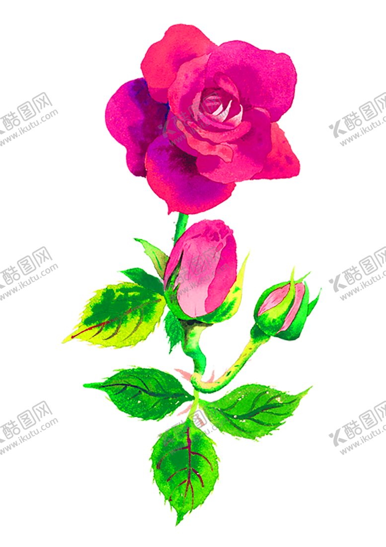 编号：70561809251155337122【酷图网】源文件下载-花素材