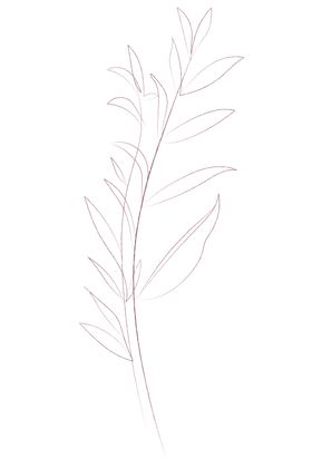 植物手绘水彩