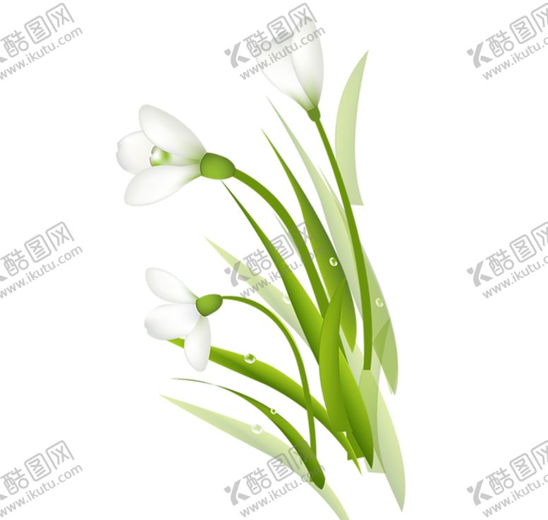 编号：30314107041428184352【酷图网】源文件下载-绿色装饰