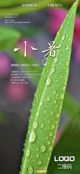 茶包装高山红茶分层文件