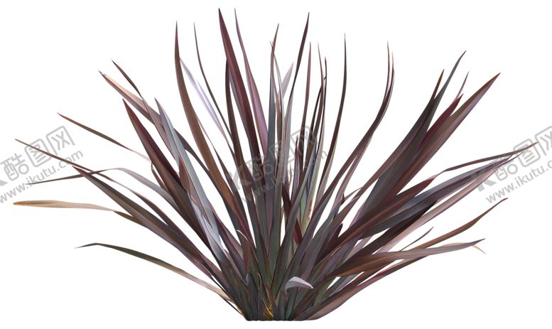 编号：19386309230509483036【酷图网】源文件下载-免扣花卉素材