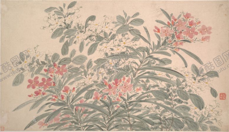 编号：51568606301204511832【酷图网】源文件下载-明代陈淳花卉花草绘画