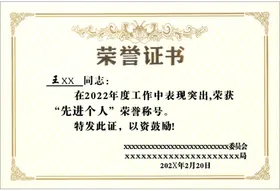 荣誉证书好看格式精美