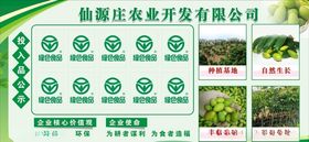 农业展板橄榄