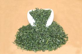 绿茶云雾茶