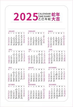 2025年历