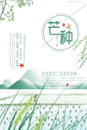 芒种简约海报节气24节气海报