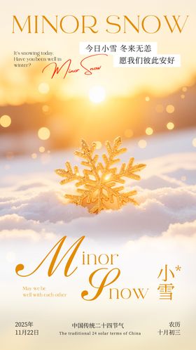小雪节气宣传海报