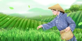 茶菜女性人物清新插画背景