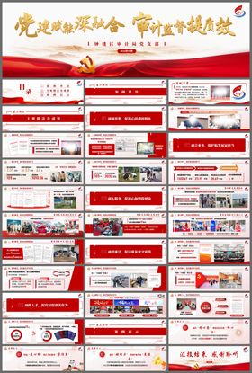 政府社区街道项目汇报PPT