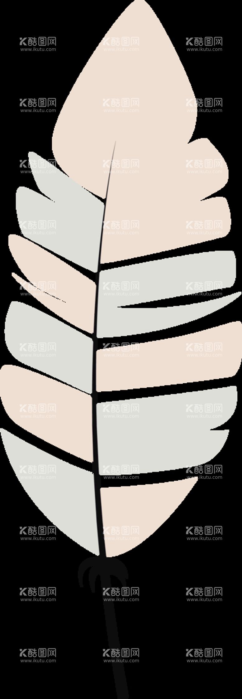 编号：10260210162252363480【酷图网】源文件下载-羽毛 素材