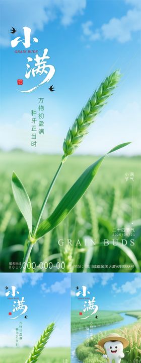 简约小麦小满口腔海报