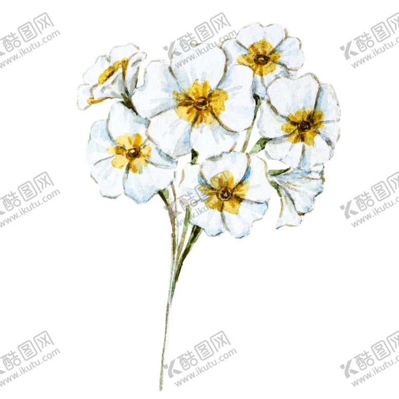 编号：11311410241430285414【酷图网】源文件下载-手绘植物