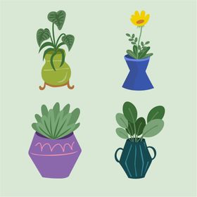 盆栽插画花卉花草插图绿色植物