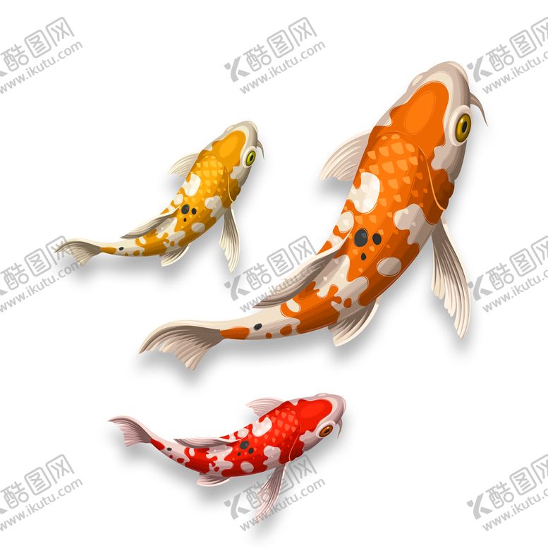编号：87935609192024161507【酷图网】源文件下载-鱼