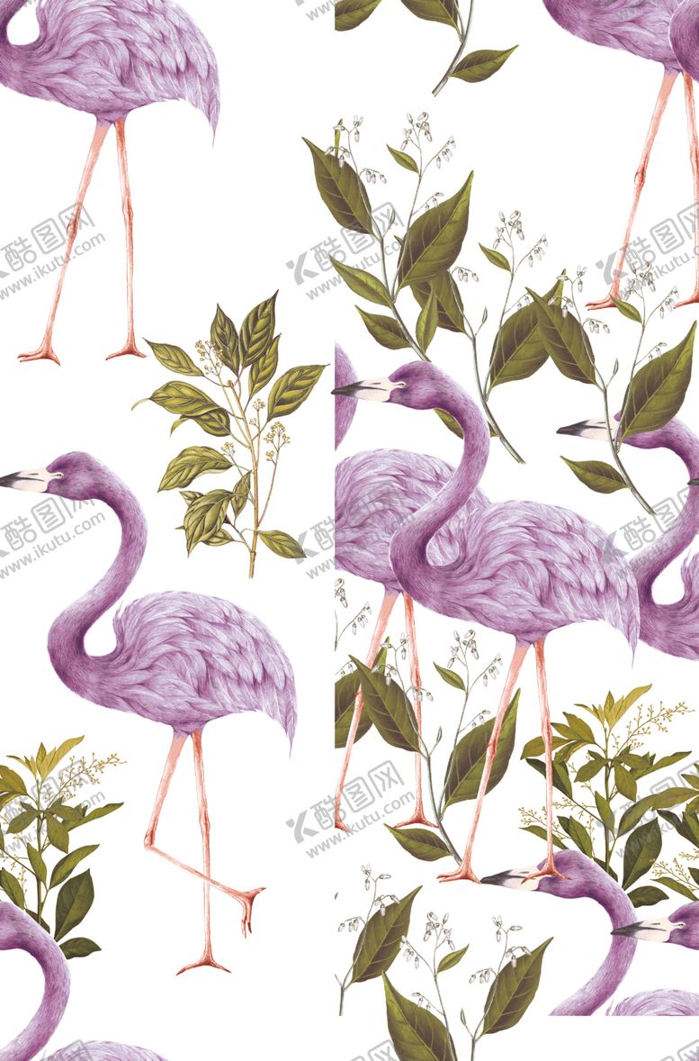 编号：10774410291020009518【酷图网】源文件下载-火烈鸟??