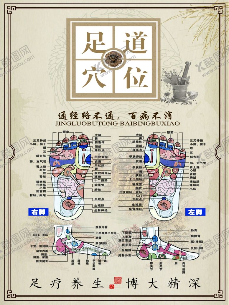 编号：72192901251818594871【酷图网】源文件下载-足道穴位
