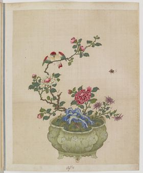 盆景花鸟