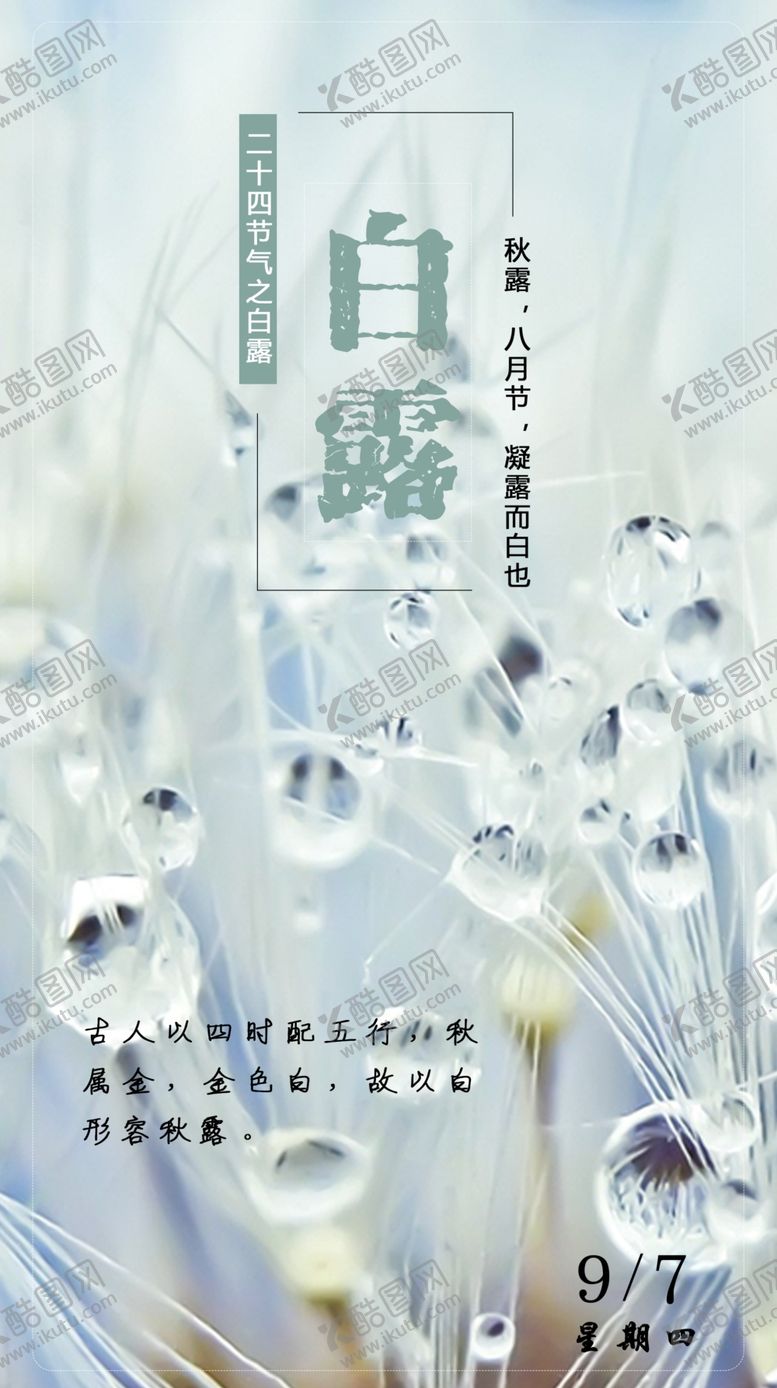编号：44813205151128249479【酷图网】源文件下载-白露海报