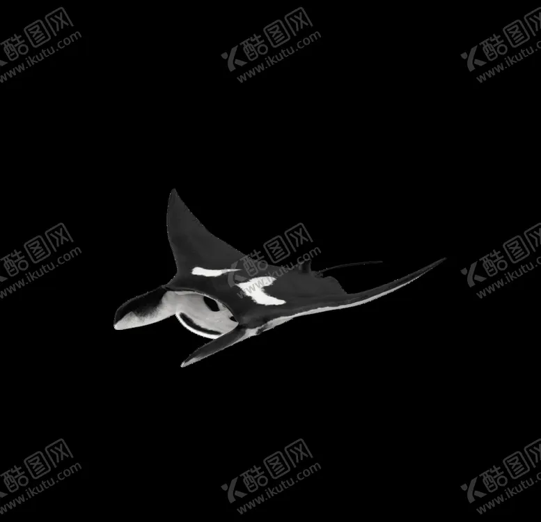 编号：98135507021704342620【酷图网】源文件下载-海洋生物