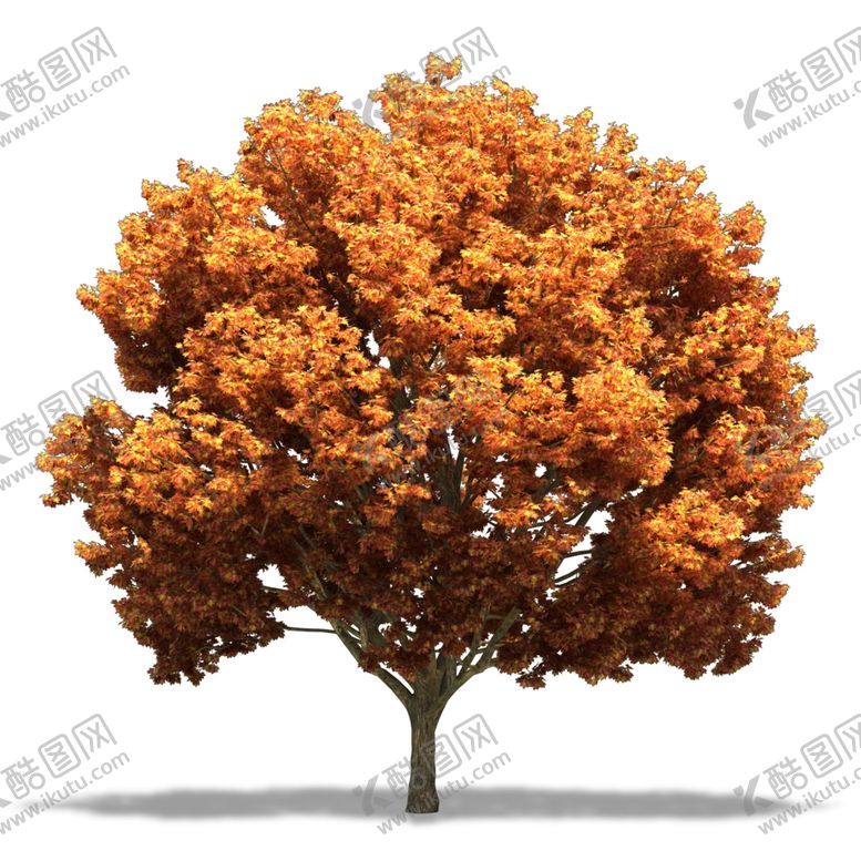 编号：74101009281827089801【酷图网】源文件下载-树木