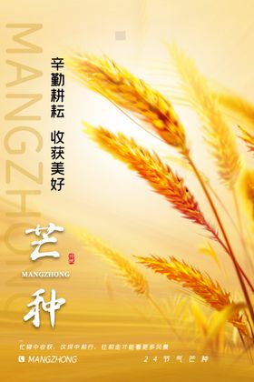 芒种海报素材设计二十四节气金色麦田