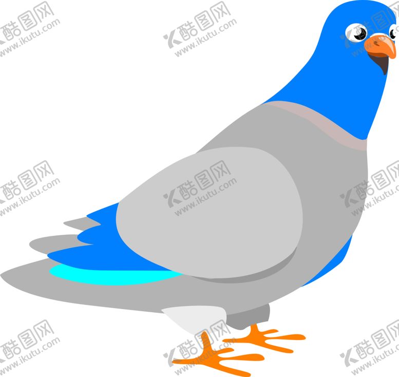 编号：30511607020126219441【酷图网】源文件下载-白鸽