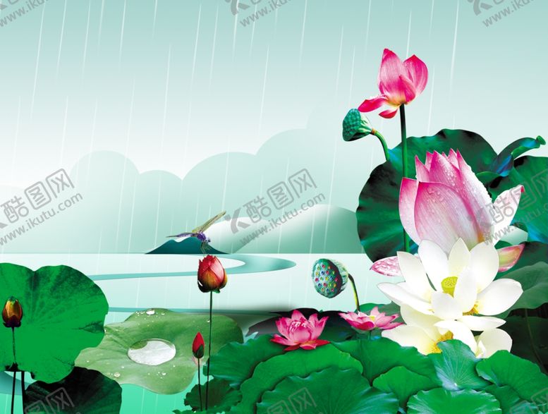编号：94433609090442415301【酷图网】源文件下载-荷花
