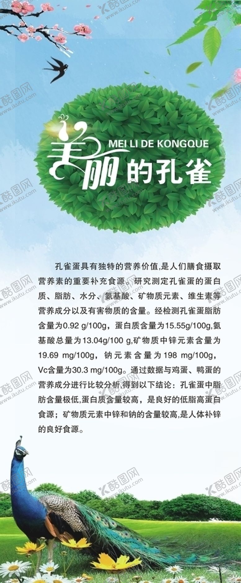 编号：98866907051557155123【酷图网】源文件下载-孔雀