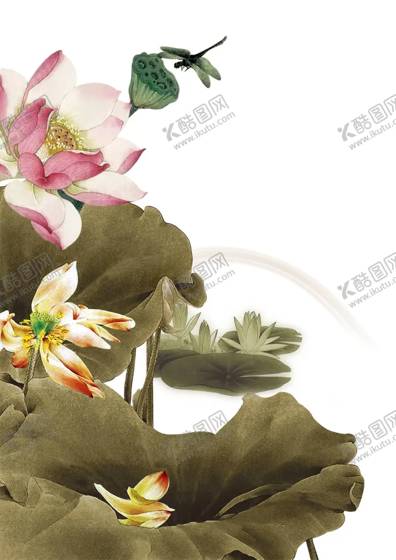 编号：67522511230446157583【酷图网】源文件下载-荷花荷叶莲子