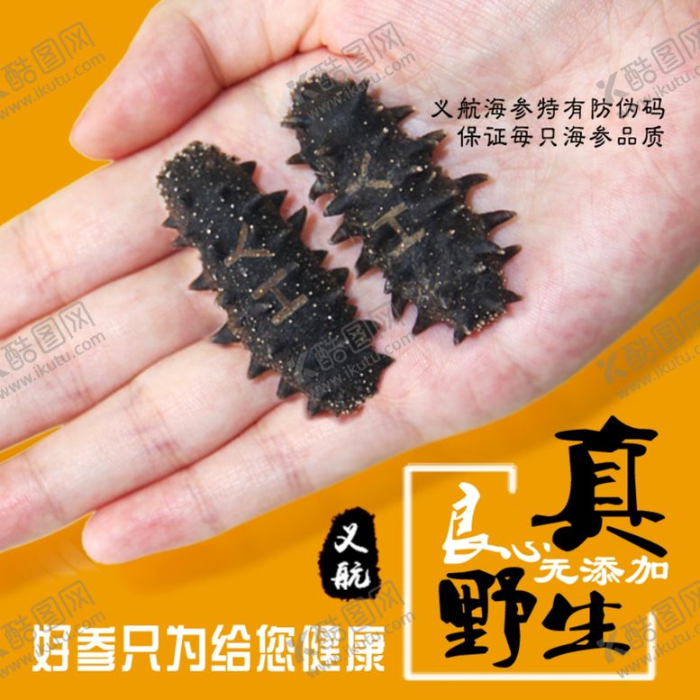 编号：63475810090538436415【酷图网】源文件下载-海参