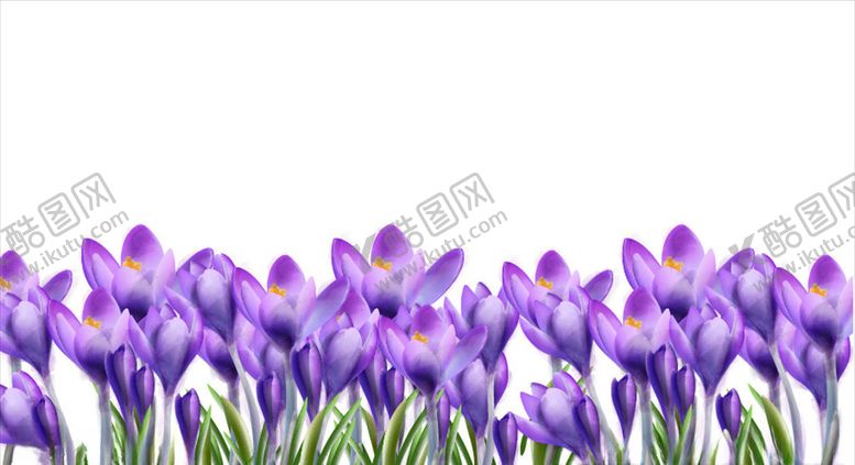 编号：71445310102342145421【酷图网】源文件下载-花卉背景