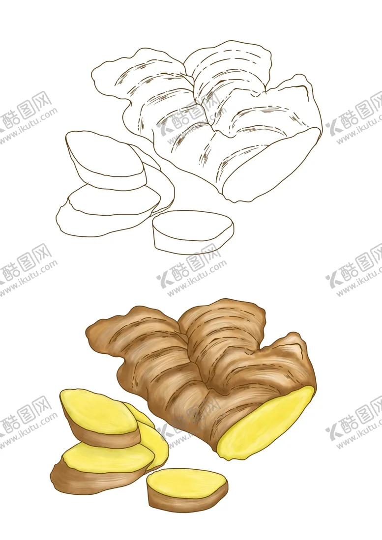 编号：82605811300226498860【酷图网】源文件下载-生姜手绘插画
