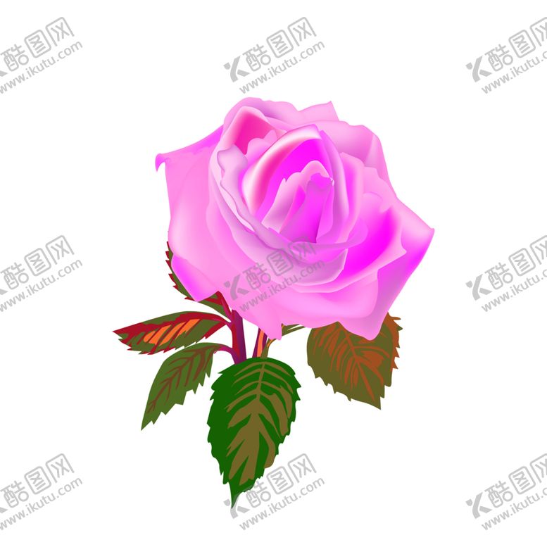 编号：47617609250326131071【酷图网】源文件下载-鲜花素材