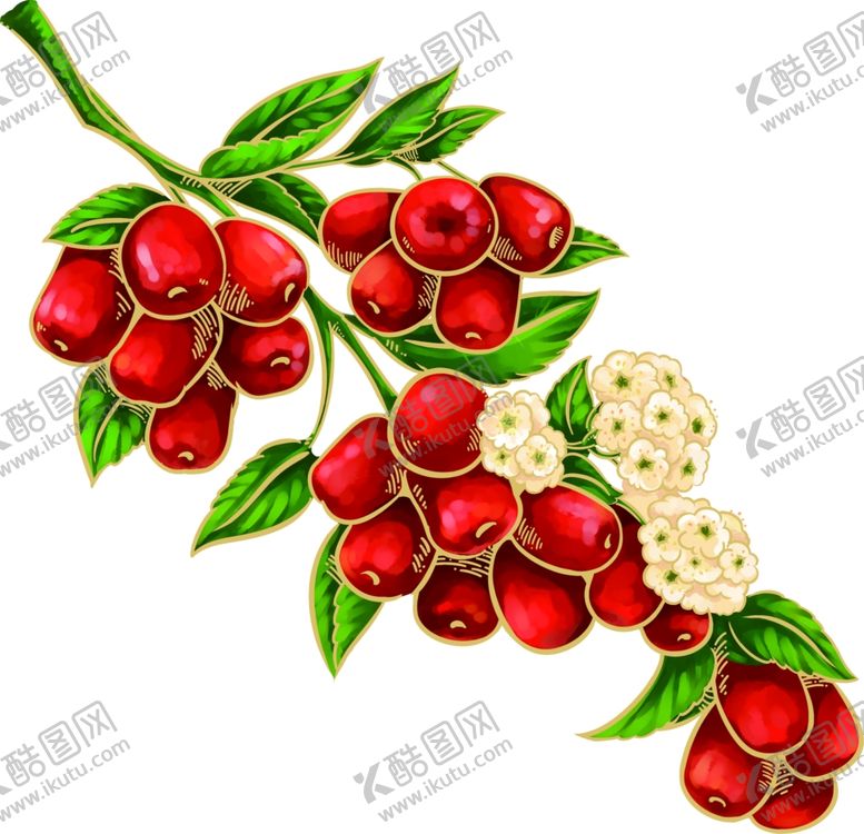 编号：20321810302033496630【酷图网】源文件下载-红枣图