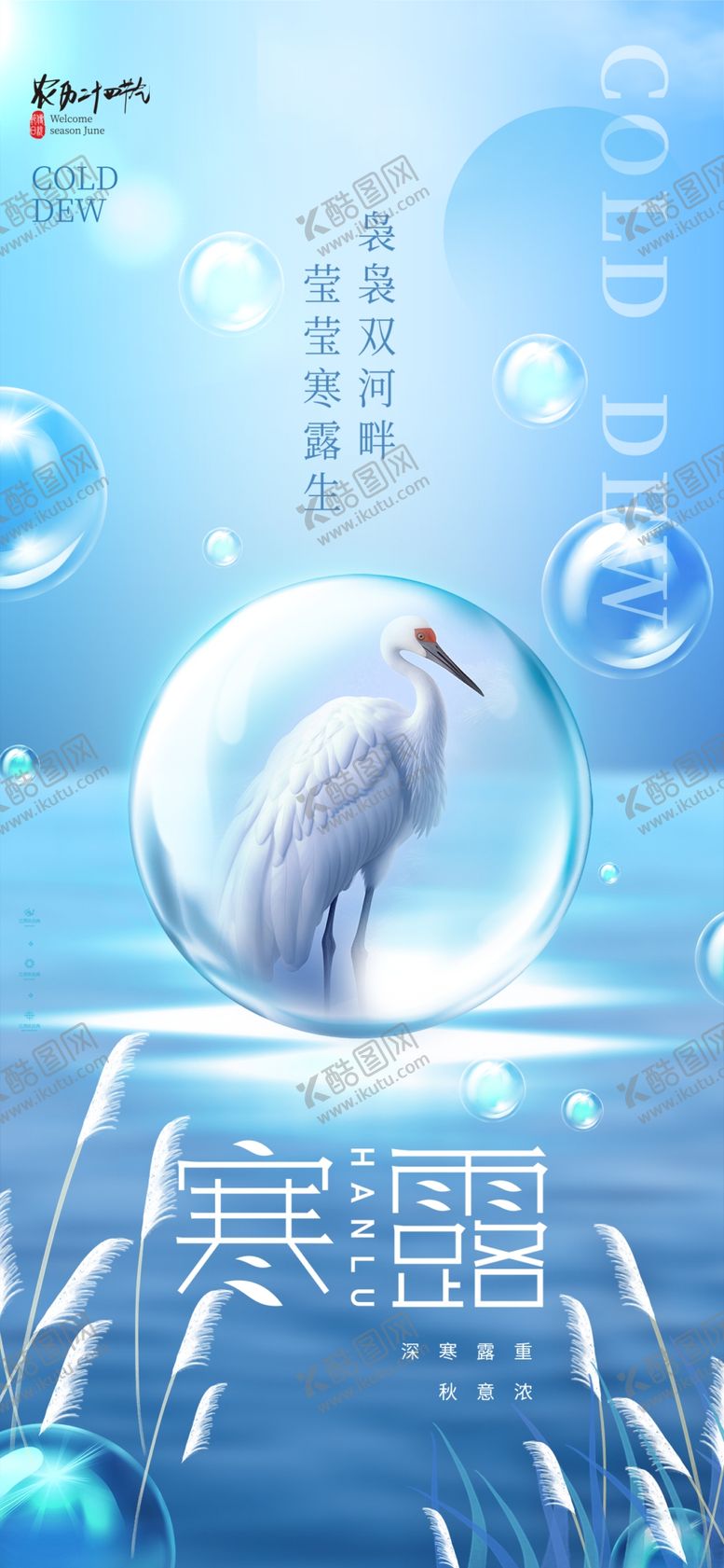 编号：38090802230656457052【酷图网】源文件下载-蓝色时尚寒露节气宣传海报