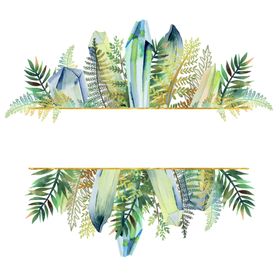 蕨类植物插画素材树叶